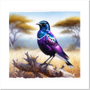 Colorful Violet-Backed Starling - Watercolor Bird Posters and Art